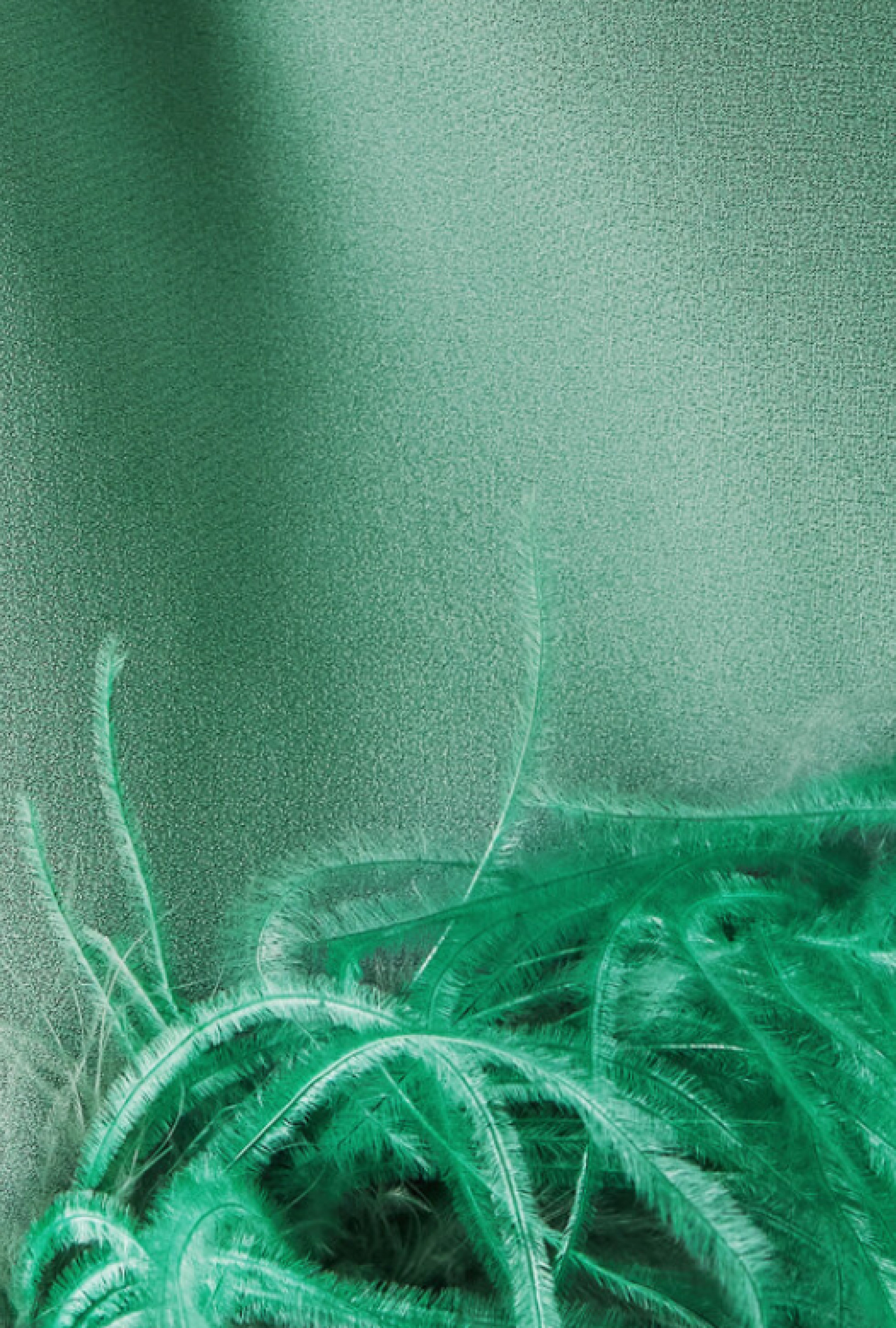 Robe Taller Marmo Plumes Piccolo Ubud Verte