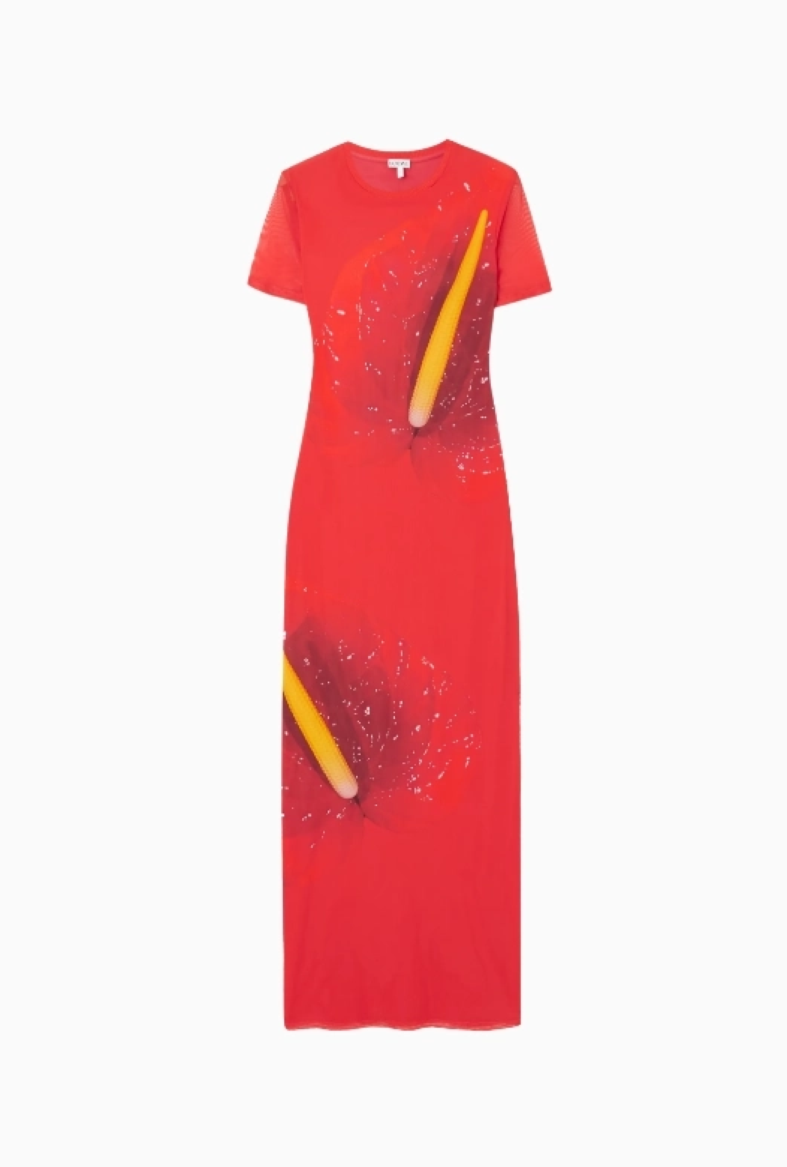 Robe Loewe Anthurium