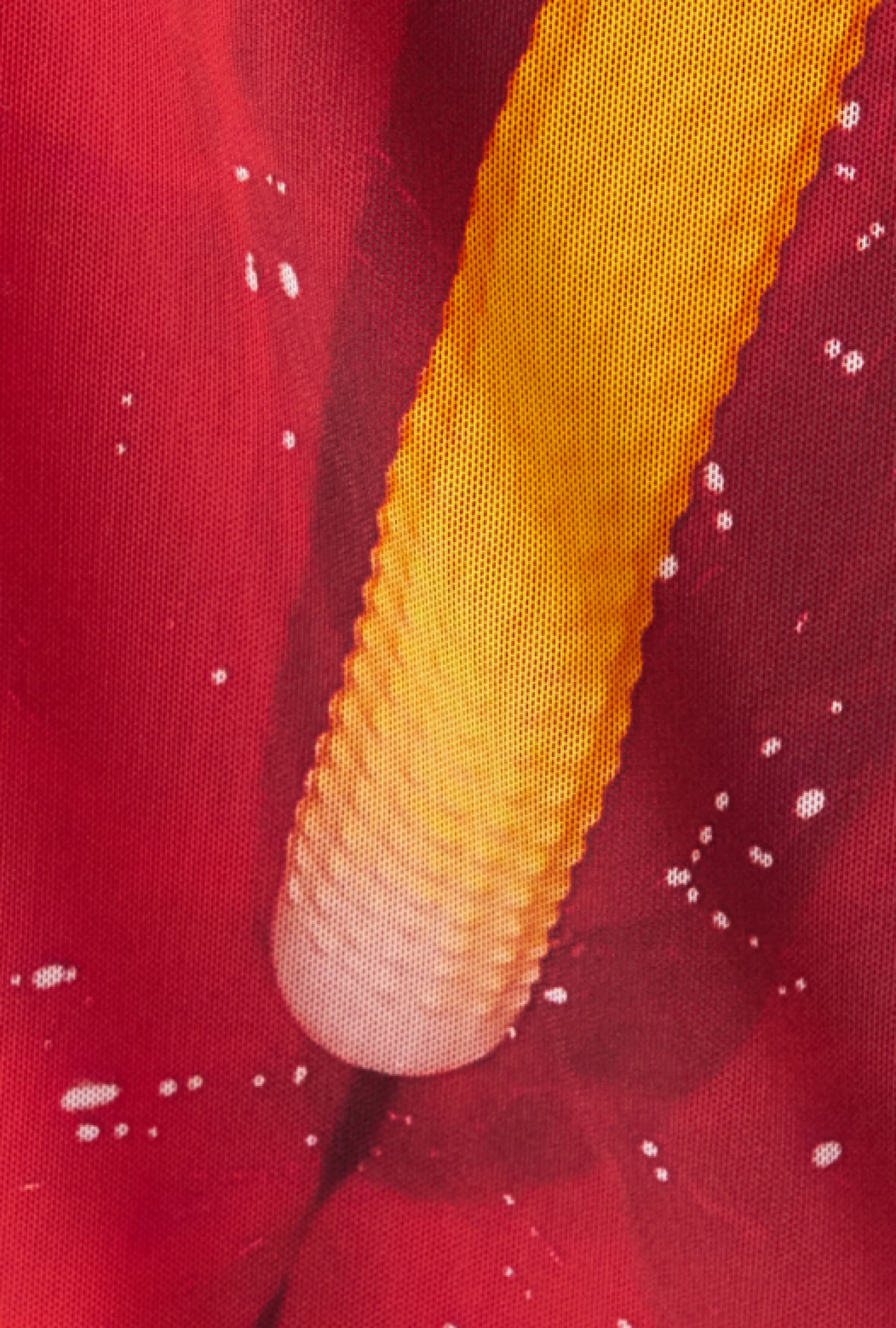 Robe Loewe Anthurium