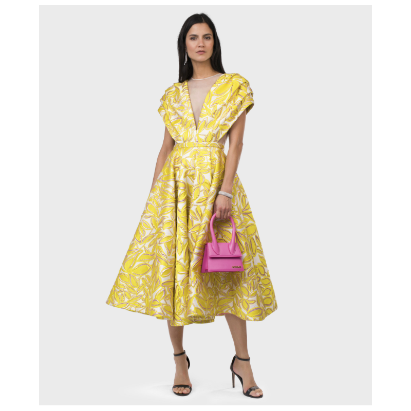 Robe Paule Ka Malika