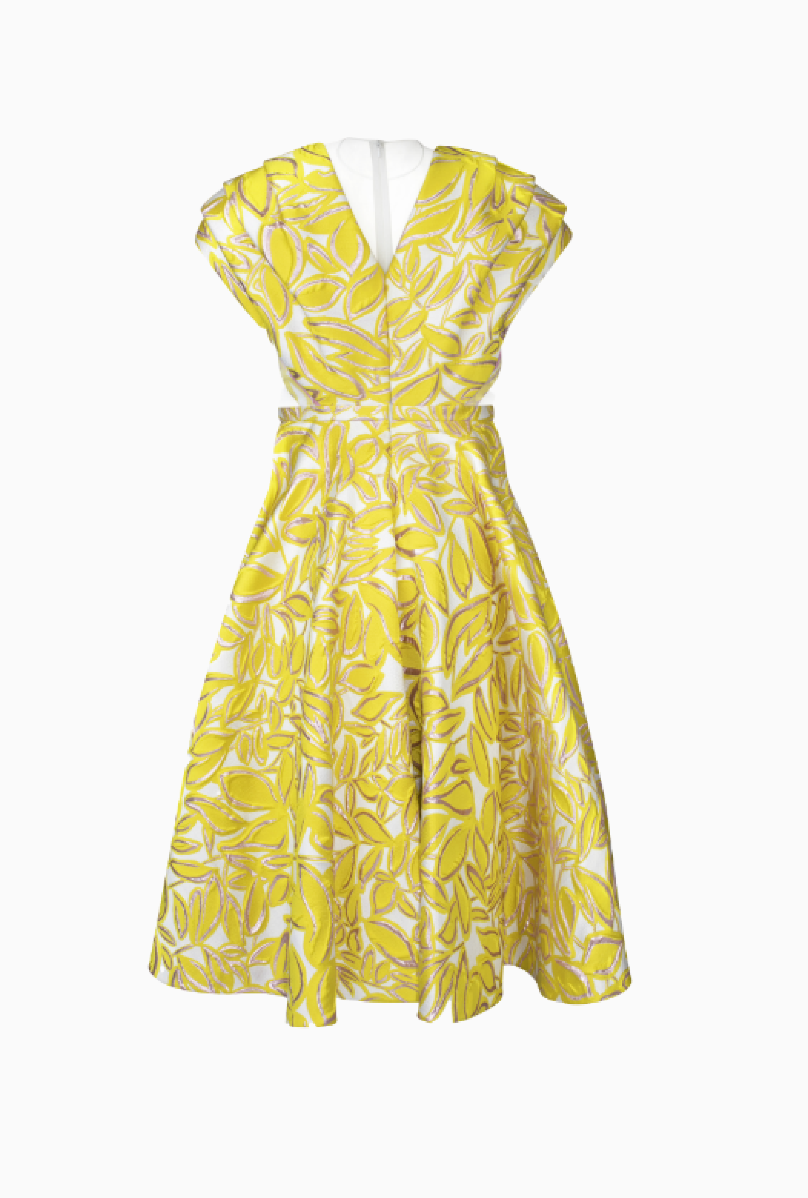 Robe Paule Ka Malika