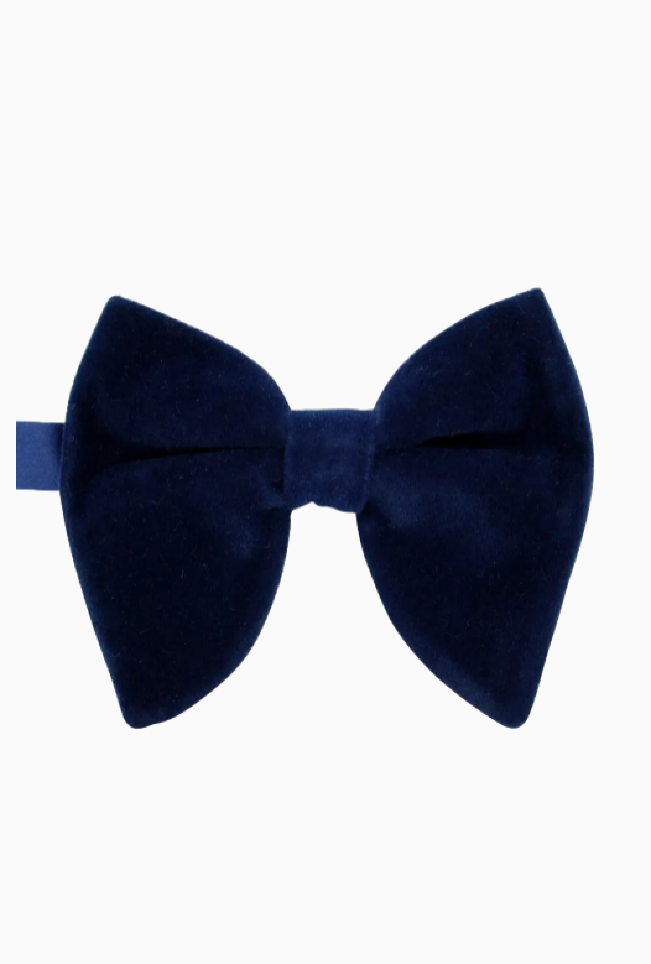 Noeud Papillon My Couture Corner Butterfly Blue