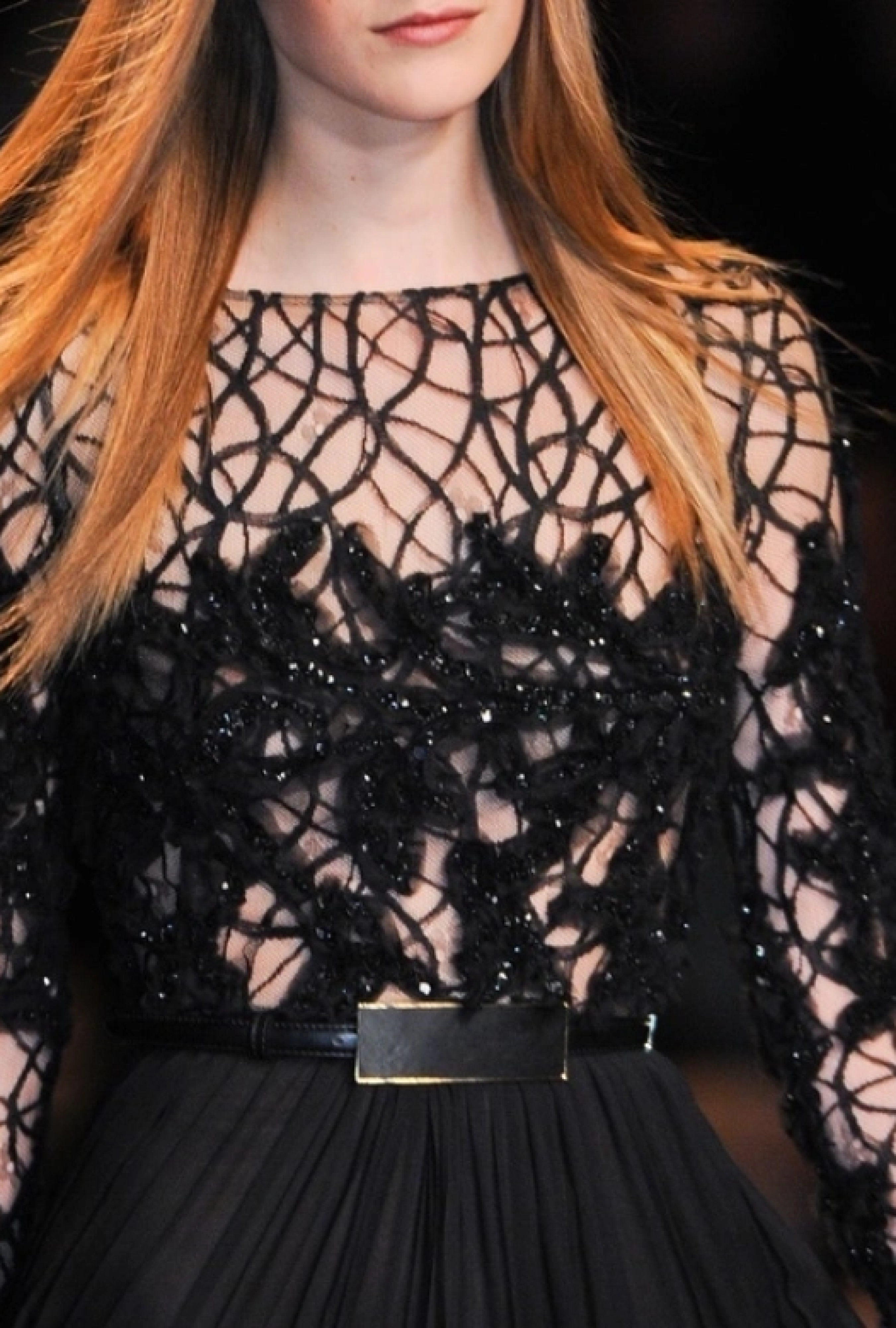 Robe Elie Saab  Black Plumetis FW 2012