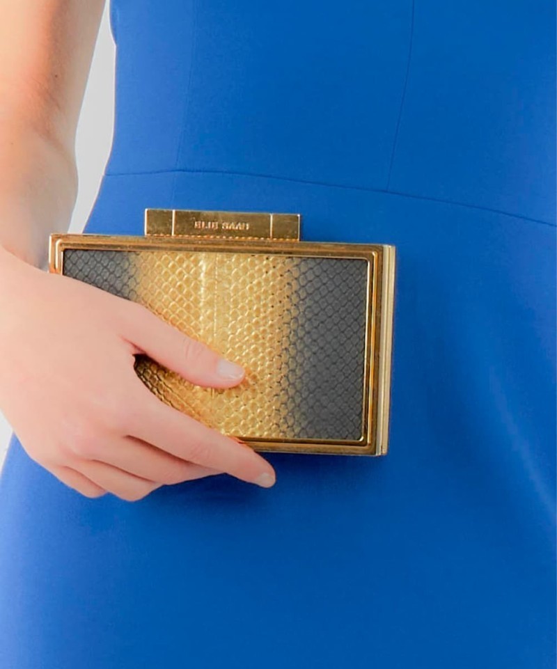 Minaudière Elie Saab Python