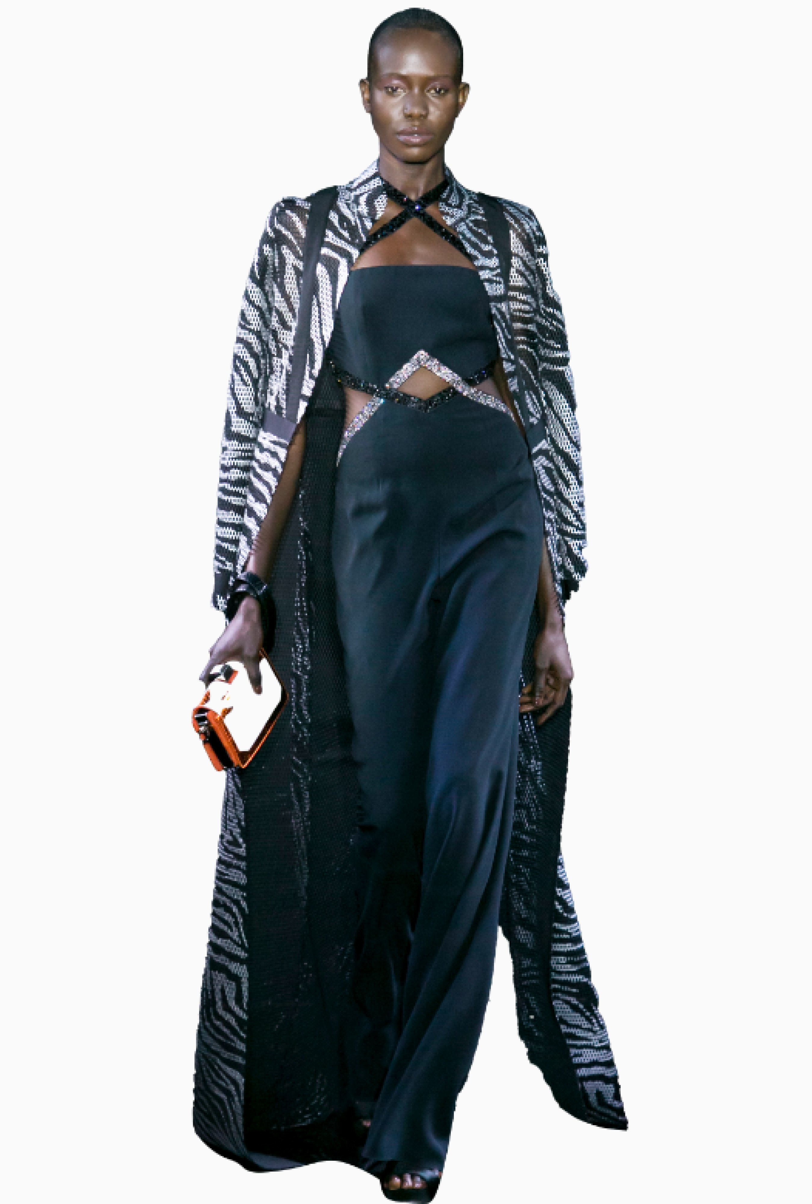 Robe Azzaro Zebra Cape
