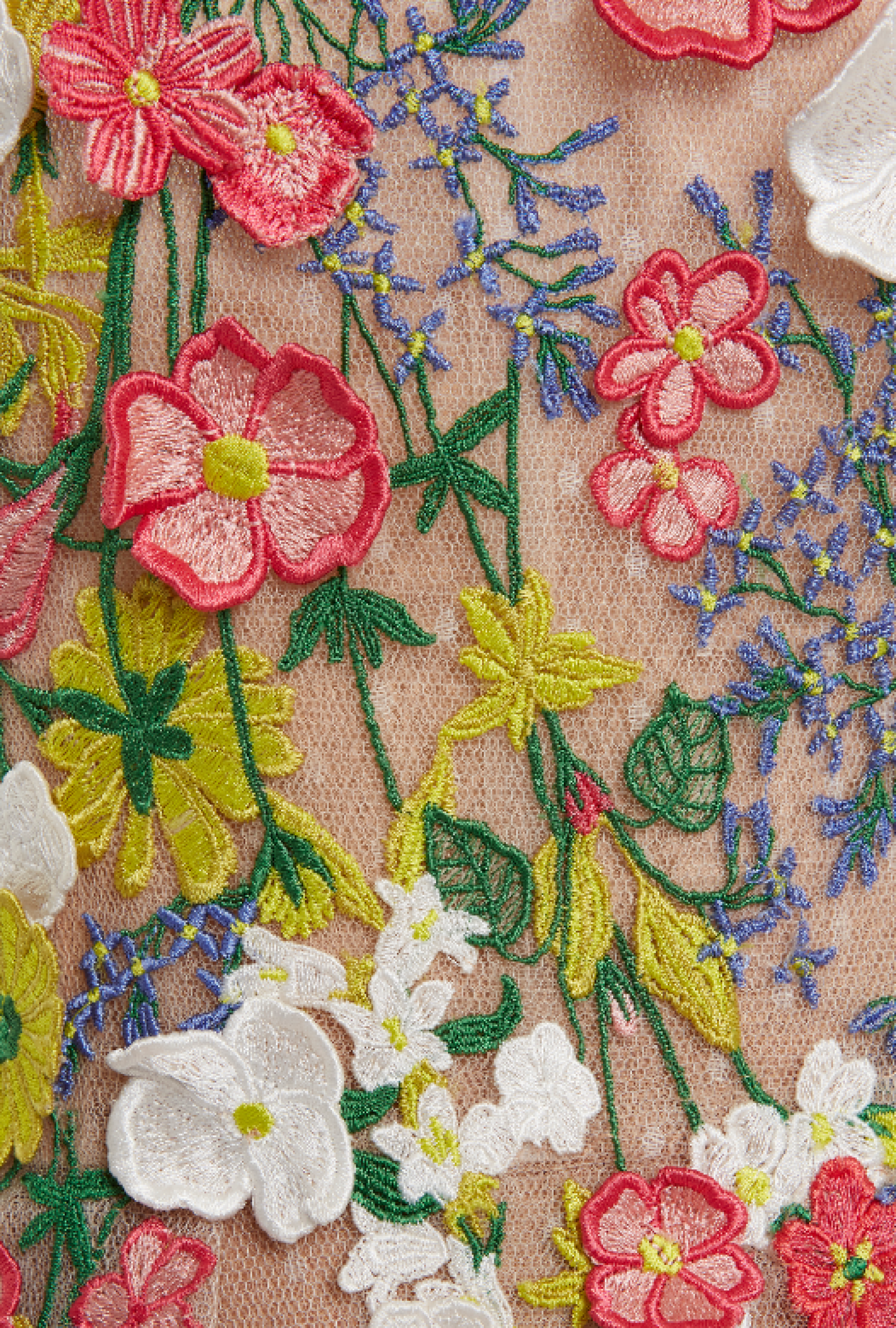 Robe Elie Saab Floral Appliqued