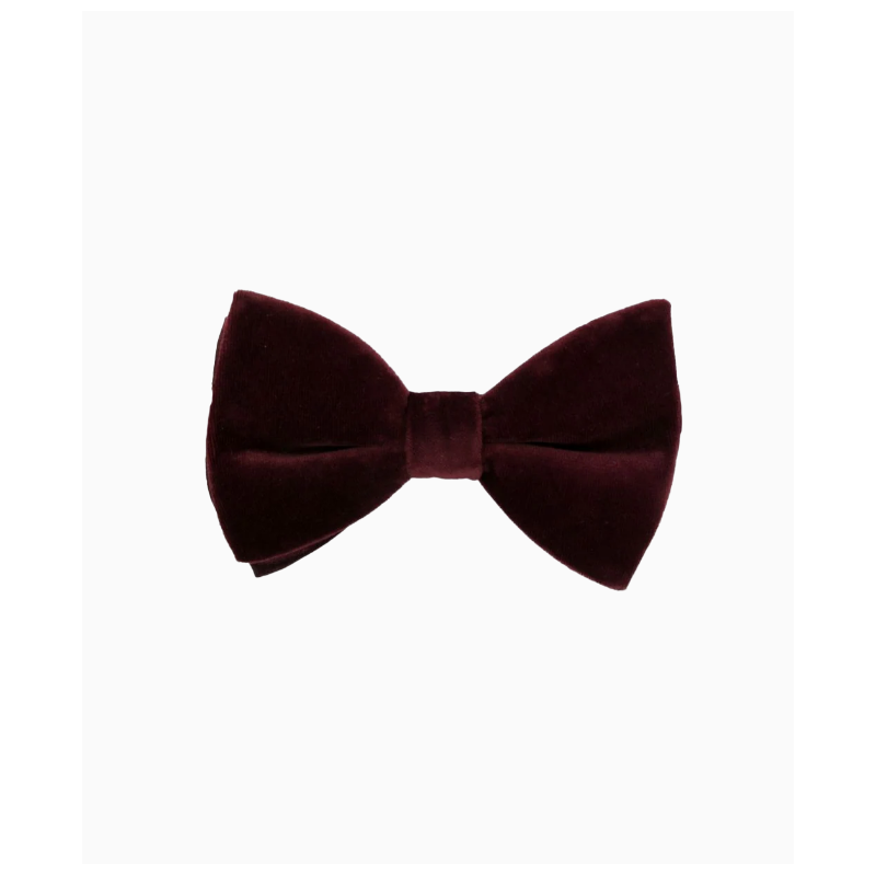 Noeud Papillon Fursac Velours Bordeaux