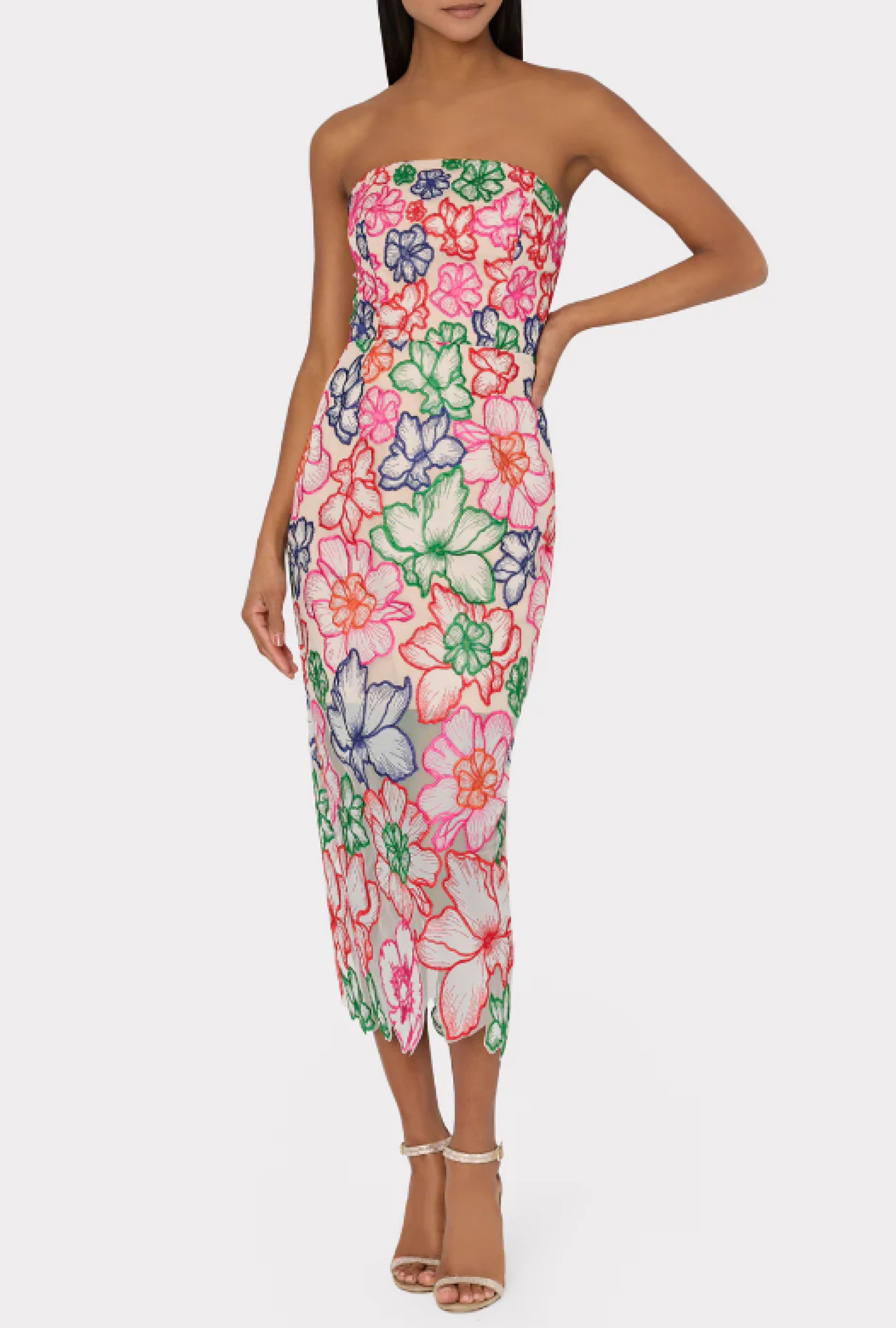 Robe Milly Cascading Floral Embroidered