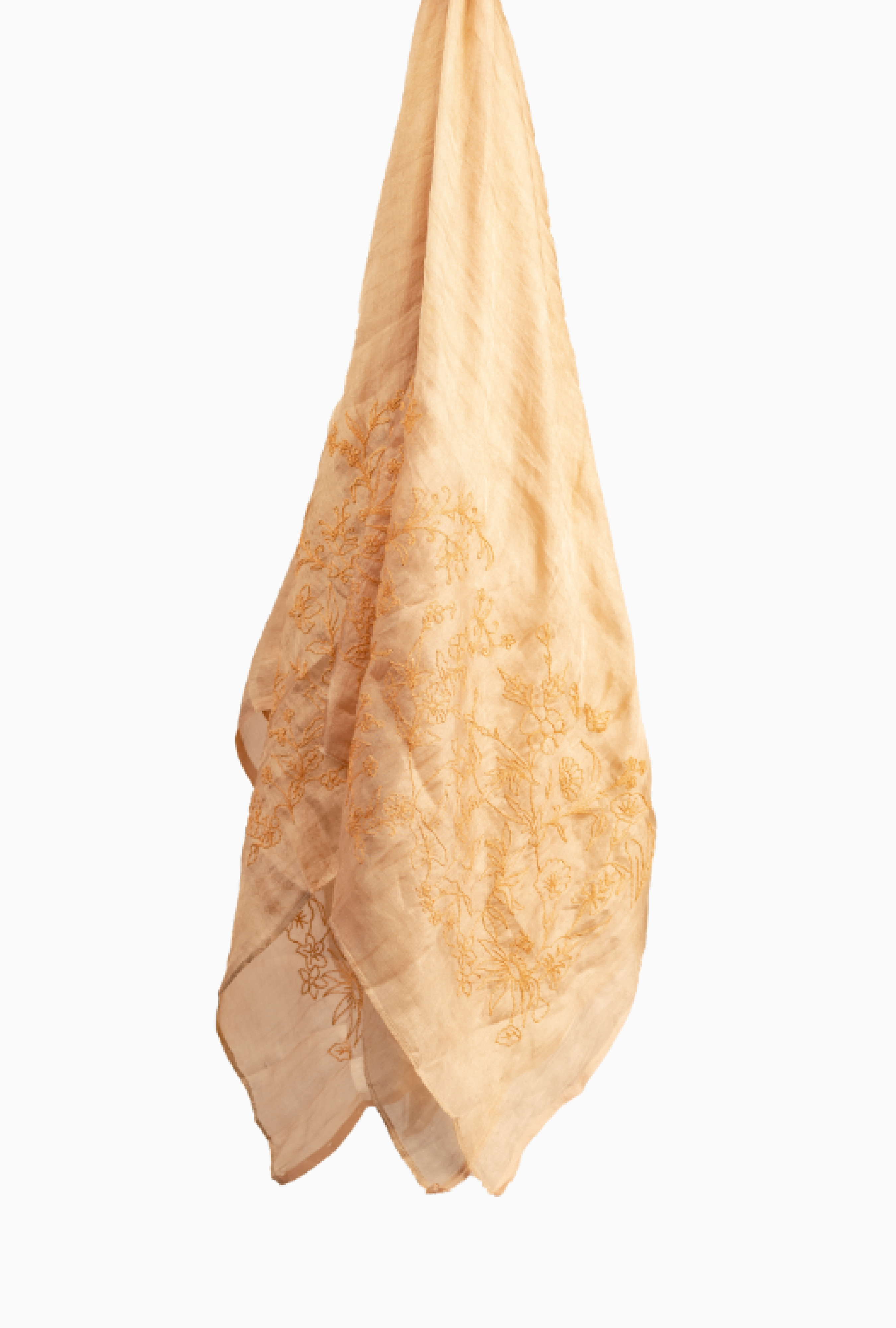 Etole Petrusse Paris May Champagne