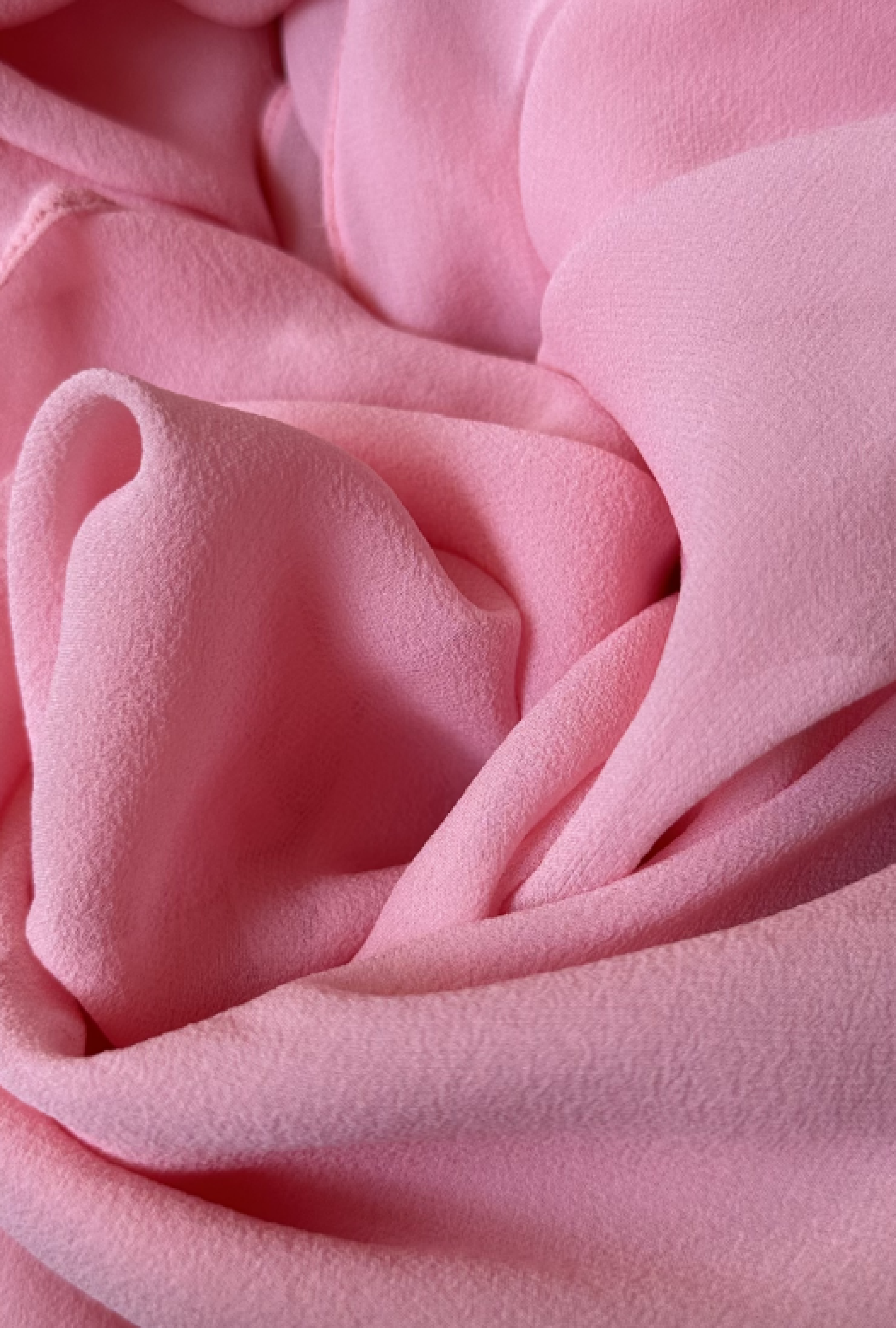 Etole Petrusse Paris Bubble Gum