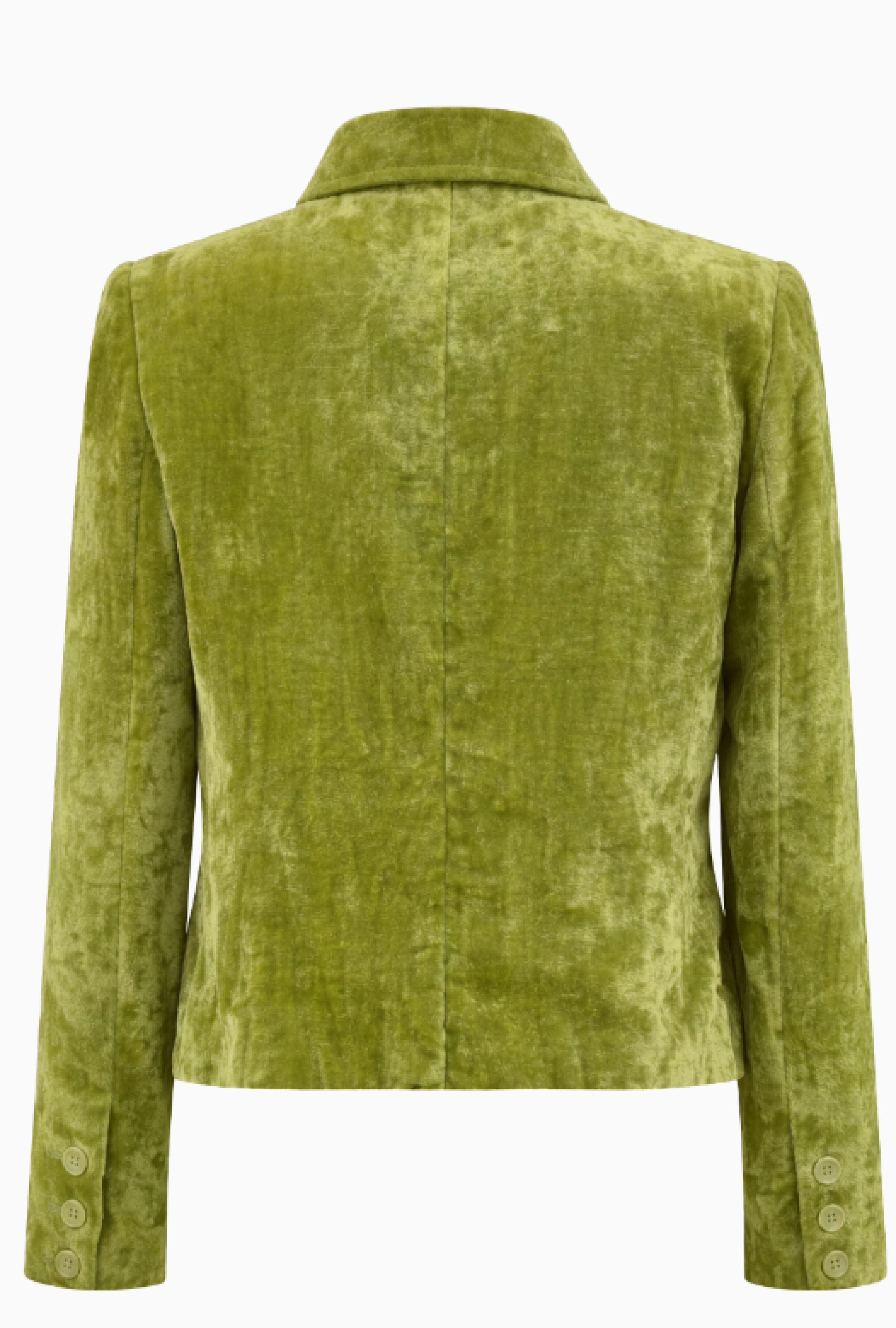 Veste Anna Molinari Velours Vert