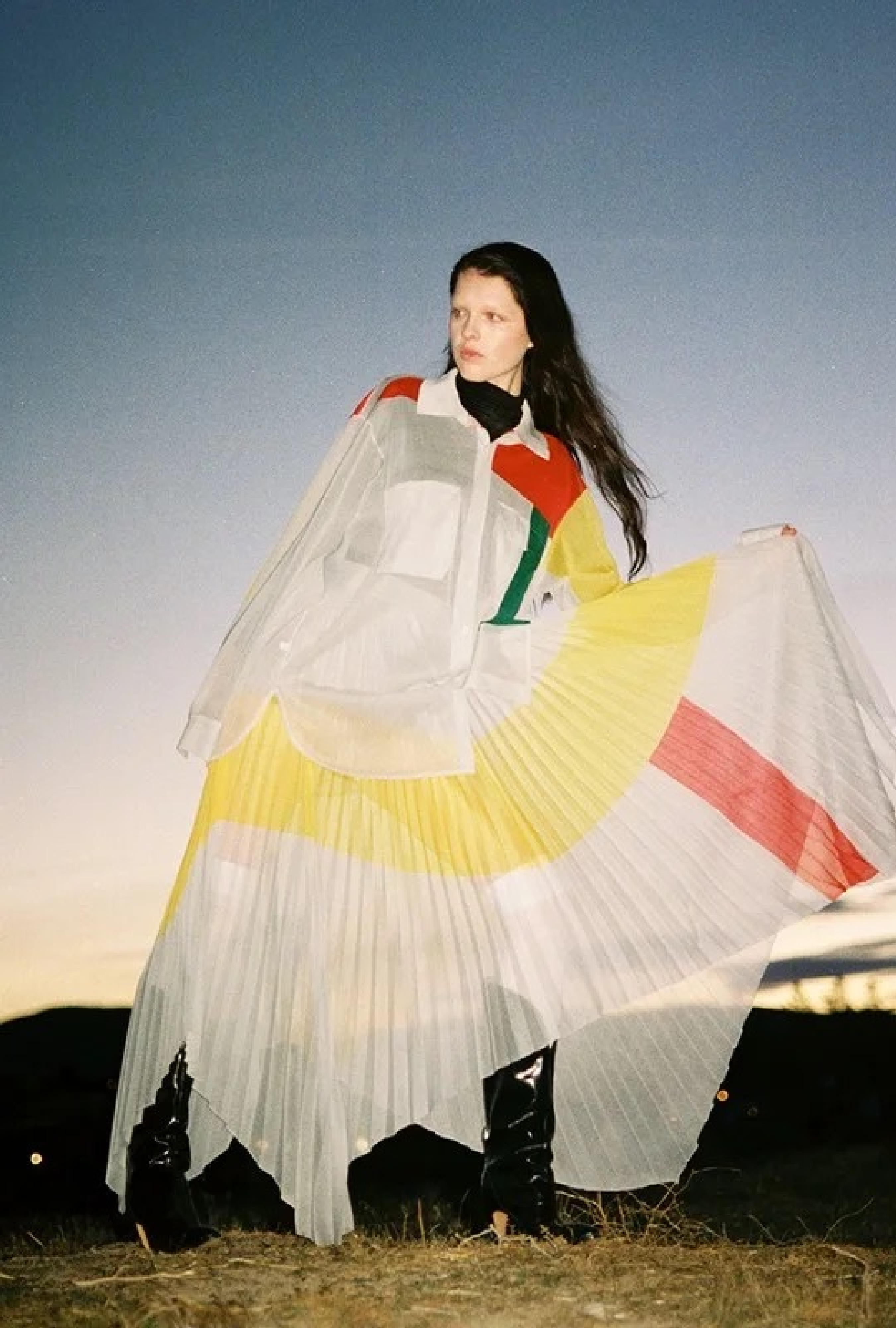 Jupe Céline,  Plissée Graphique SS2018 Par Phoebe Philo