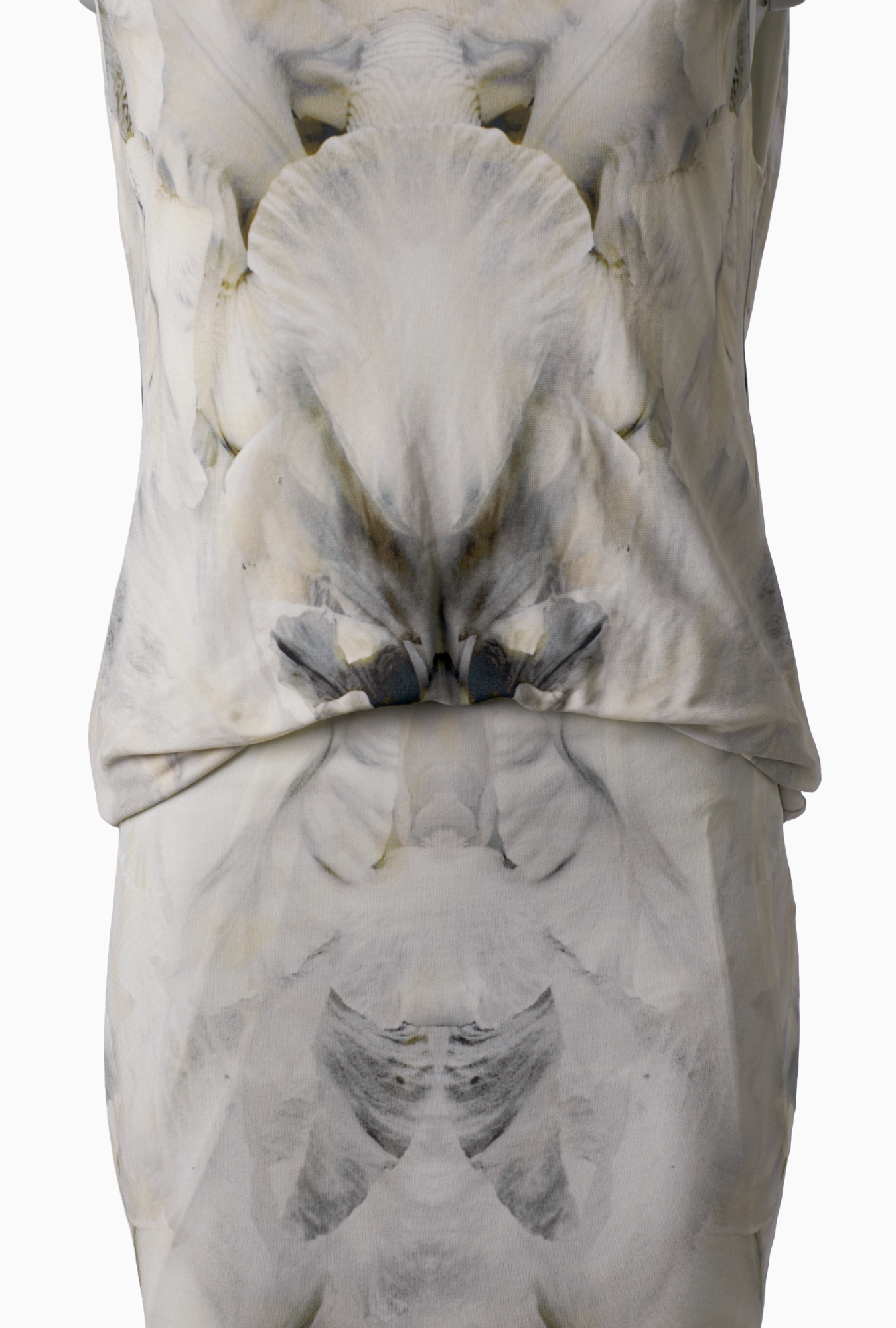 Robe Alexander Mcqueen Print FALL2010