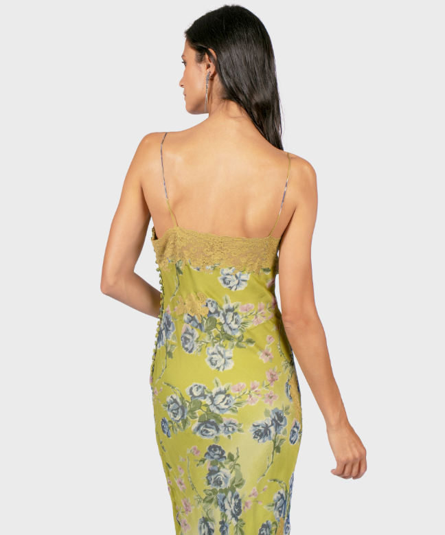 Location Robe de soirée Dior, modèle Anis Dentelle par John Galliano. 5