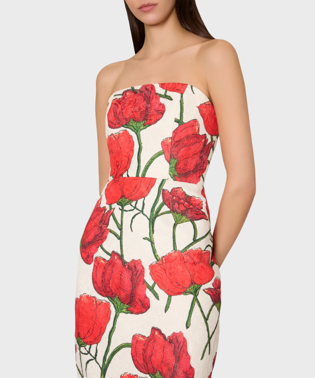 Location Robe Milly, modèle Orion Red 4