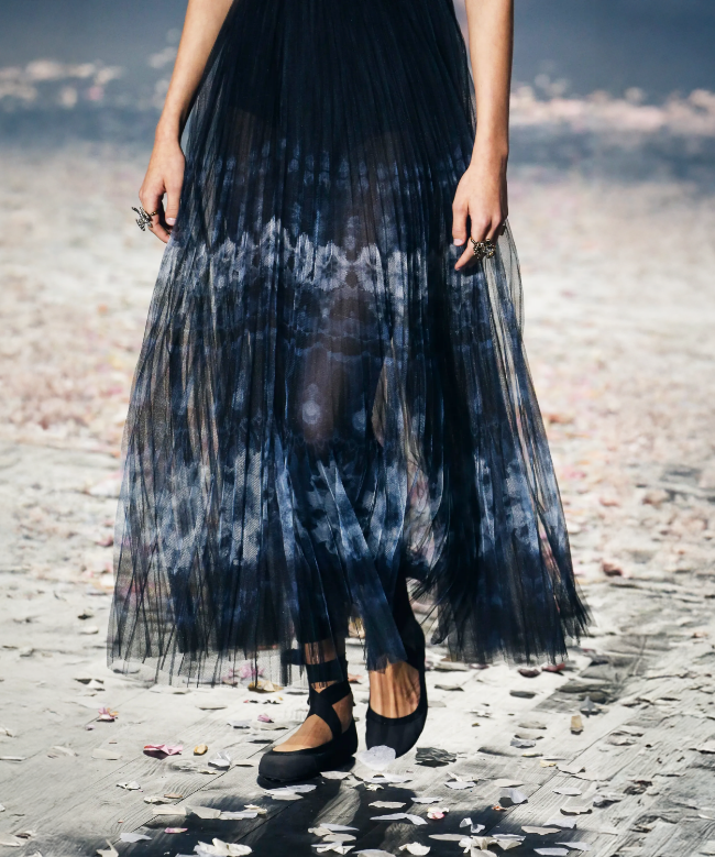 Location robe Dior, modèle Night Ballet SS2019 4