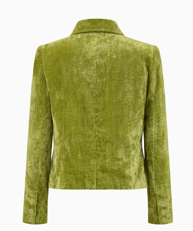 Location et Achat Veste Anna Molinari, modèle Velours Vert 2