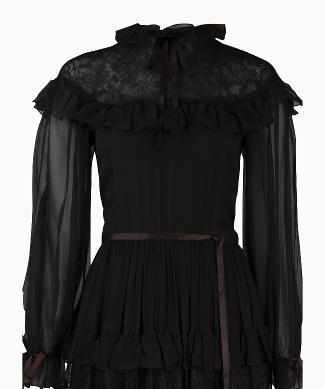 Location Robe Nina Ricci, modèle Nuit Victorienne 4