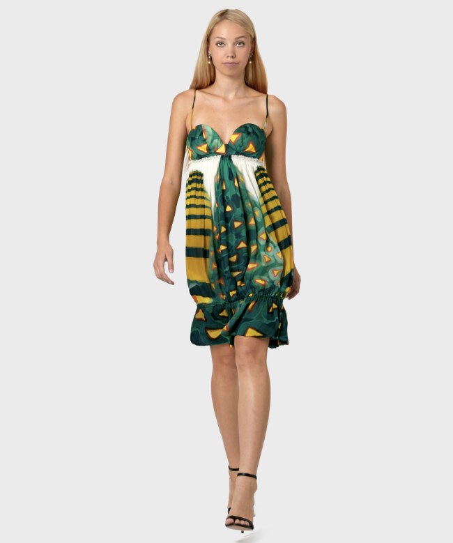 Achat Robe Roberto Cavalli, modèle Wild Amazon Spring 2009 1