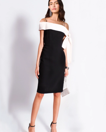 Robe Droite Bicolore