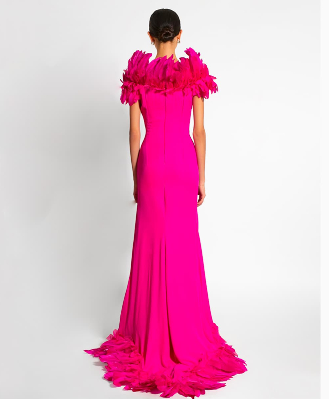 Location Robe Coyelle 2