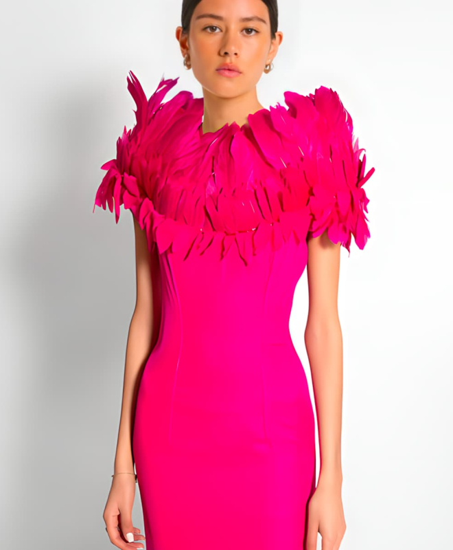 Location Robe Coyelle 3